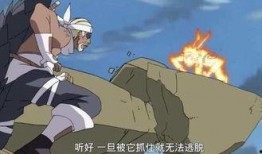 火影资讯爆料视频下载,最新视频下载解析，揭秘忍者世界新篇章